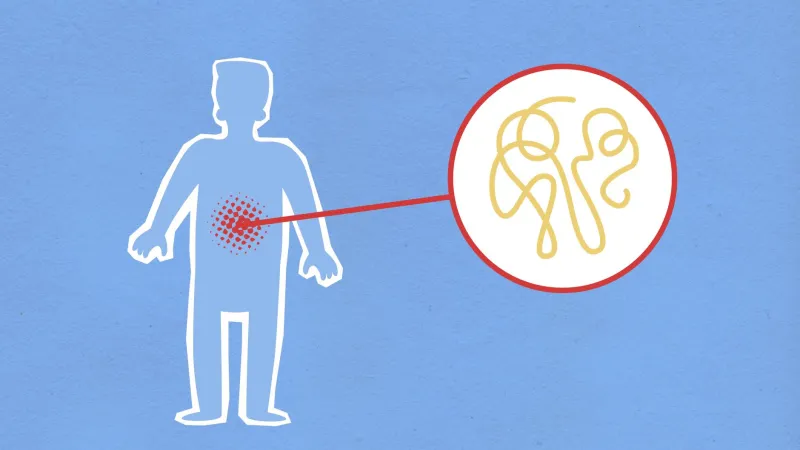 A Moving Target: How Your Body's Drug-Processing Ability Shifts Throughout Your Life — and Even Your Week